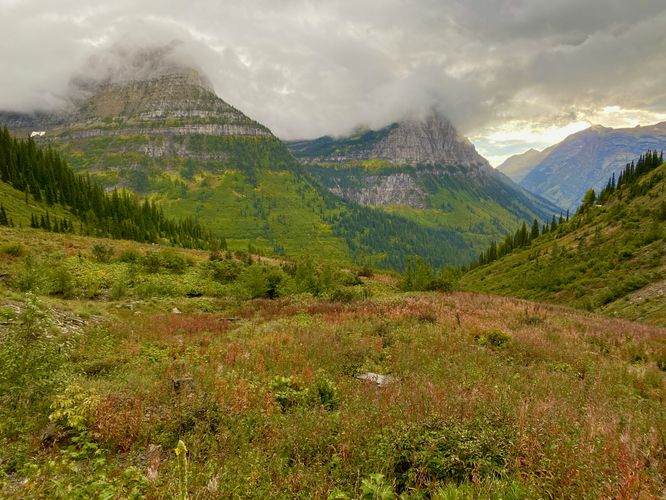 Meadow view from Big Bend